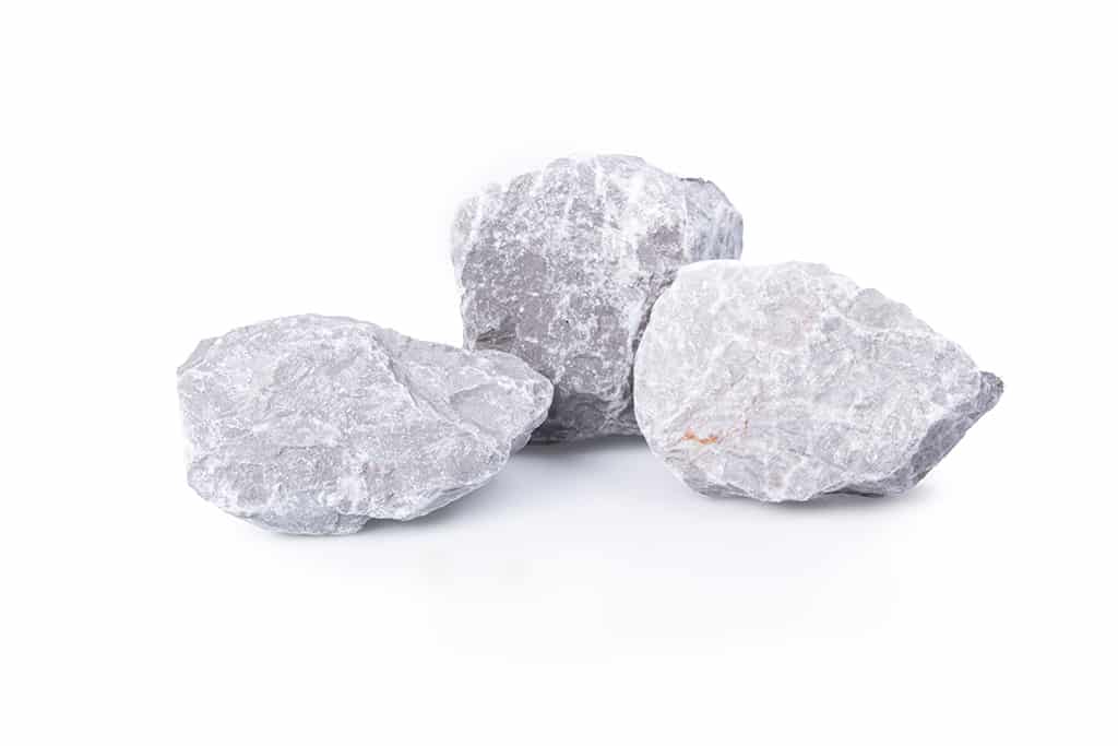Kalksteine kaufen: Gelackt - veredeltes Sedimentgestein mit dem Hauptbestandteil Calciumcarbonat