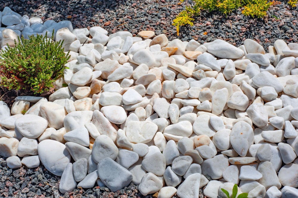 Gartengestaltung mit weißen Steinen und Splitt